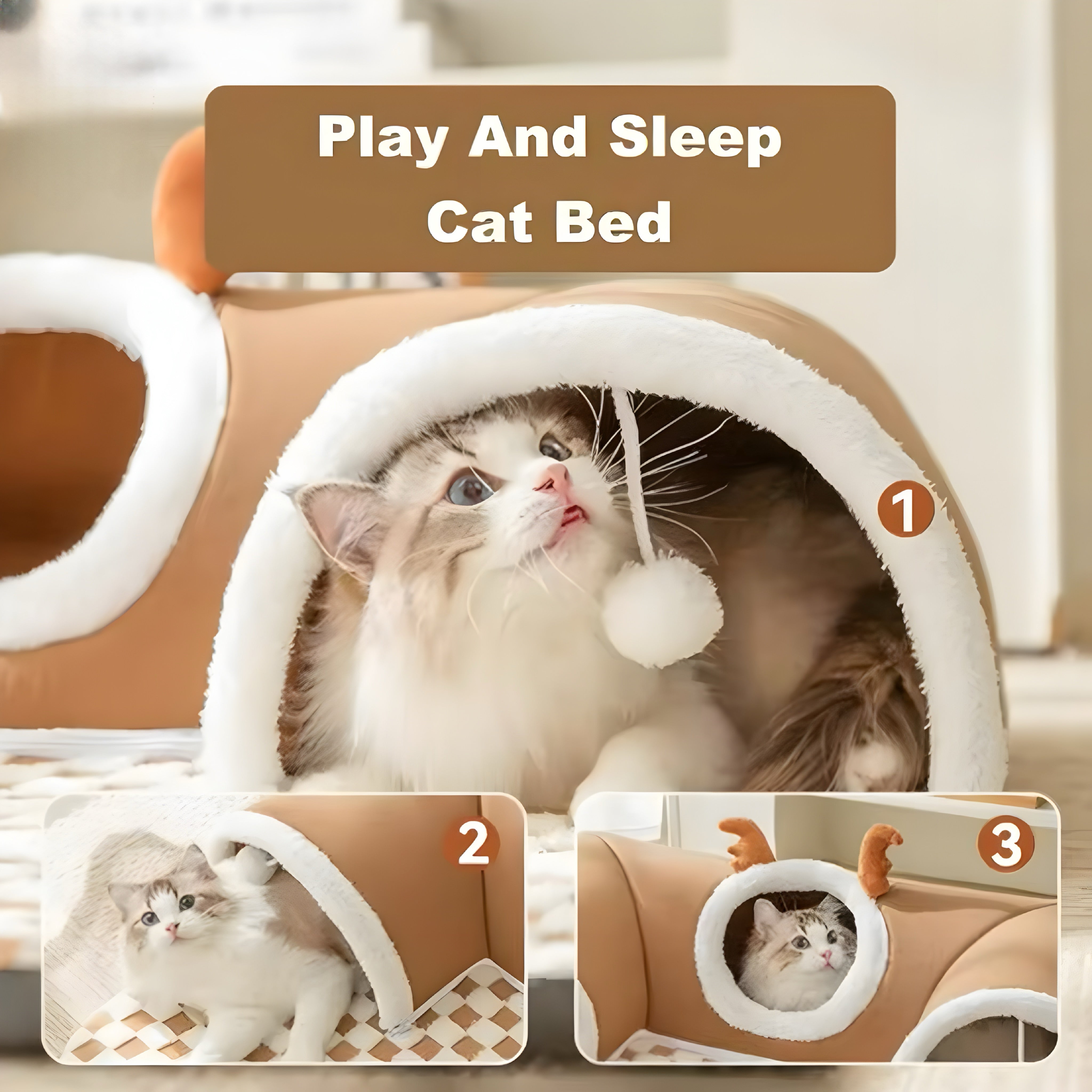 CatMaze Home